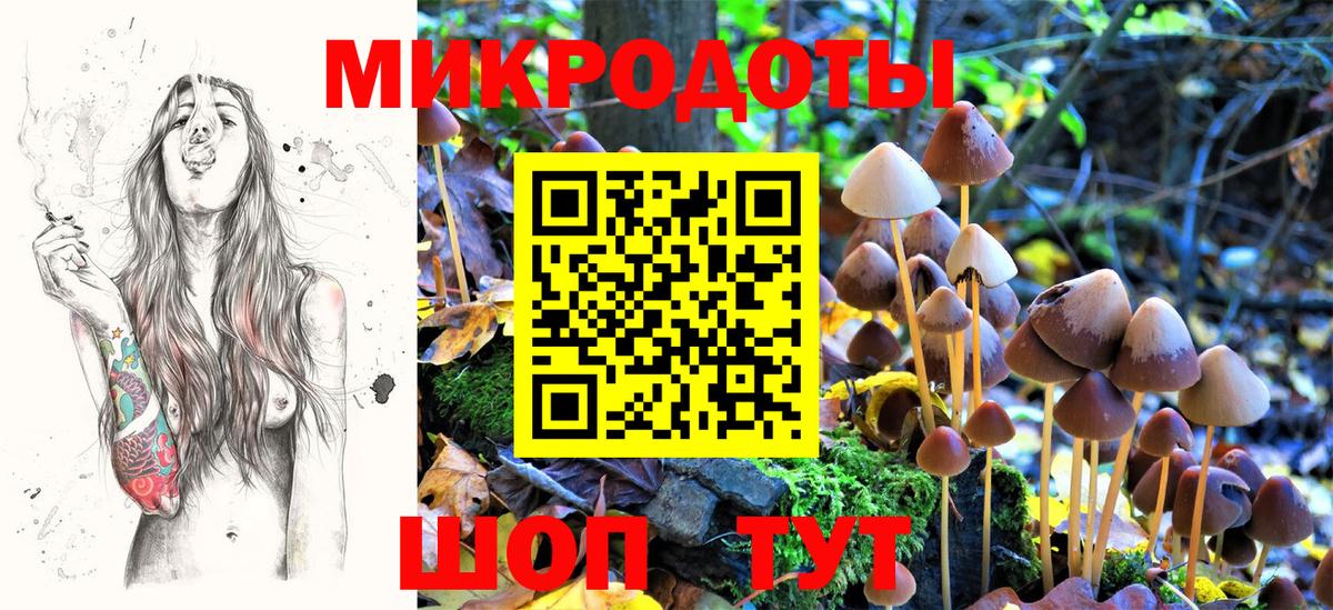 Псилоцибиновые грибы мухоморы  Вход с VPN  Коряжма  Псилоцибиновые грибы прущие грибы 